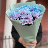 Ромашки